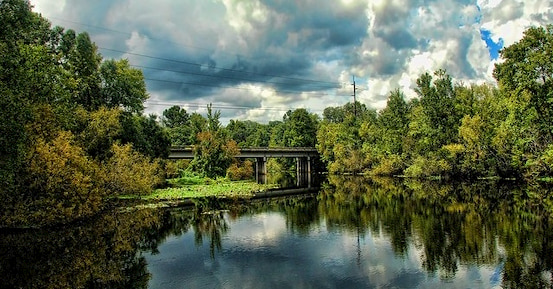 the Morris Bridge passes over the water at Lettuce Lake Park near Tampa